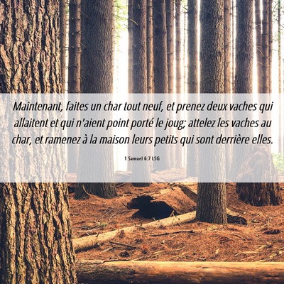 Picture 06 - 1 Samuel 6:7 LSG - Maintenant, faites un char tout neuf, et prenez - Bible Verse Picture