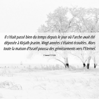 Picture 06 - 1 Samuel 7:2 LSG - Il s'était passé bien du temps depuis le jour - Bible Verse Picture