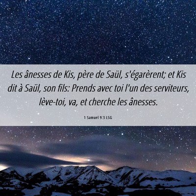 Picture 06 - 1 Samuel 9:3 LSG - Les ânesses de Kis, père de Saül, - Bible Verse Picture