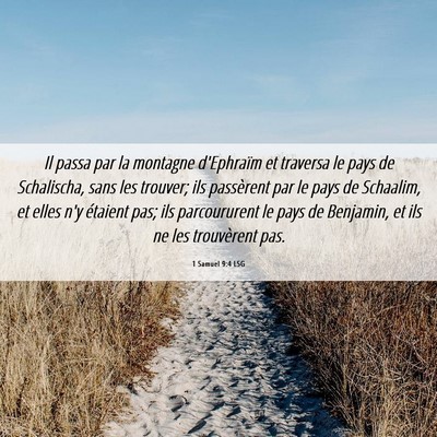 Picture 06 - 1 Samuel 9:4 LSG - Il passa par la montagne d'Ephraïm et traversa - Bible Verse Picture