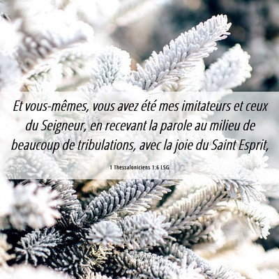 Picture 06 - 1 Thessaloniciens 1:6 LSG - Et vous-mêmes, vous avez été mes imitateurs et - Bible Verse Picture