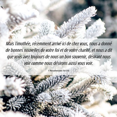 Picture 06 - 1 Thessaloniciens 3:6 LSG - Mais Timothée, récemment arrivé ici de chez - Bible Verse Picture