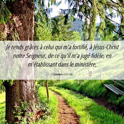 Picture 06 - 1 Timothée 1:12 LSG - Je rends grâces à celui qui m'a fortifié, à - Bible Verse Picture