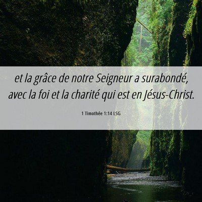 Picture 06 - 1 Timothée 1:14 LSG - et la grâce de notre Seigneur a surabondé, avec - Bible Verse Picture