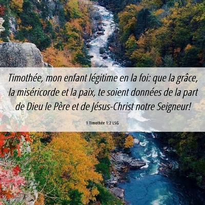 Picture 06 - 1 Timothée 1:2 LSG - Timothée, mon enfant légitime en la foi: que la - Bible Verse Picture