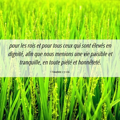 Picture 06 - 1 Timothée 2:2 LSG - pour les rois et pour tous ceux qui sont élevés - Bible Verse Picture