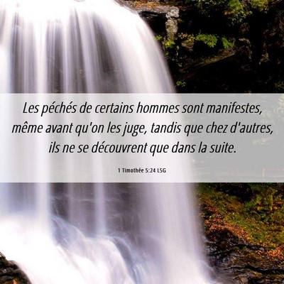 Picture 06 - 1 Timothée 5:24 LSG - Les péchés de certains hommes sont manifestes, - Bible Verse Picture