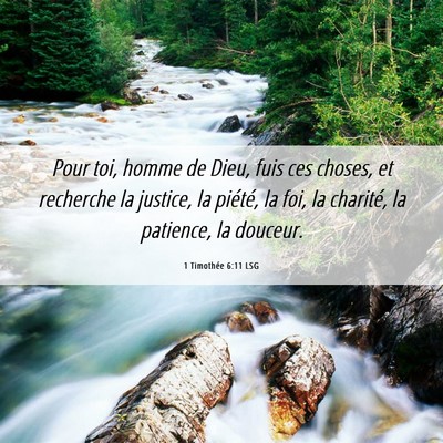 Picture 06 - 1 Timothée 6:11 LSG - Pour toi, homme de Dieu, fuis ces choses, et - Bible Verse Picture