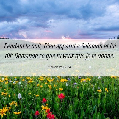 Picture 06 - 2 Chroniques 1:7 LSG - Pendant la nuit, Dieu apparut à Salomon et lui - Bible Verse Picture
