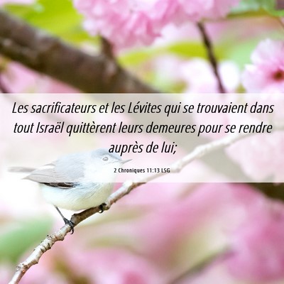 Picture 06 - 2 Chroniques 11:13 LSG - Les sacrificateurs et les Lévites qui se - Bible Verse Picture