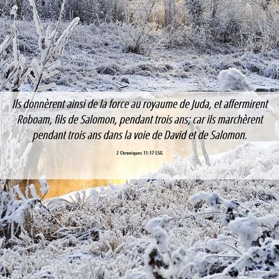 Picture 06 - 2 Chroniques 11:17 LSG - Ils donnèrent ainsi de la force au royaume de - Bible Verse Picture