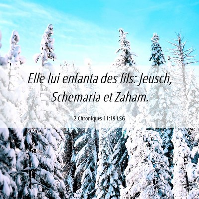 Picture 06 - 2 Chroniques 11:19 LSG - Elle lui enfanta des fils: Jeusch, Schemaria et - Bible Verse Picture