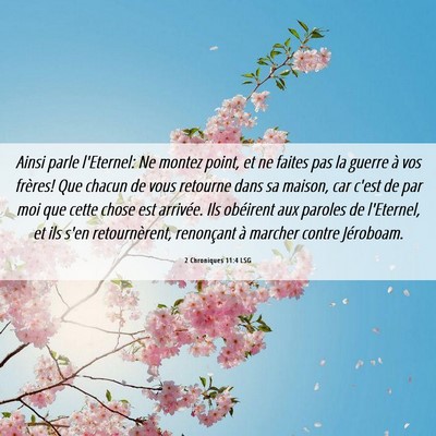 Picture 06 - 2 Chroniques 11:4 LSG - Ainsi parle l'Eternel: Ne montez point, et ne - Bible Verse Picture
