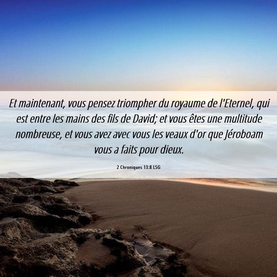 Picture 06 - 2 Chroniques 13:8 LSG - Et maintenant, vous pensez triompher du royaume - Bible Verse Picture