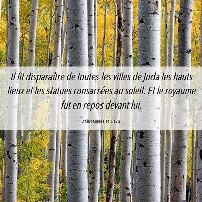 Picture 06 - 2 Chroniques 14:5 LSG - Il fit disparaître de toutes les villes de Juda - Bible Verse Picture