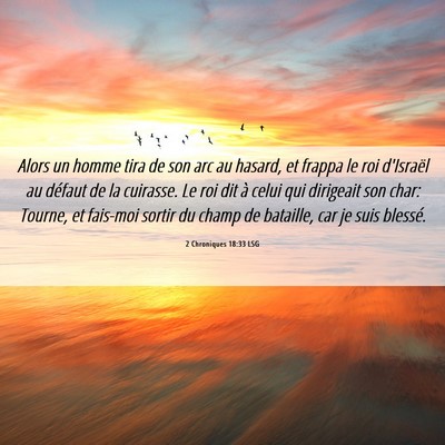 Picture 06 - 2 Chroniques 18:33 LSG - Alors un homme tira de son arc au hasard, et - Bible Verse Picture