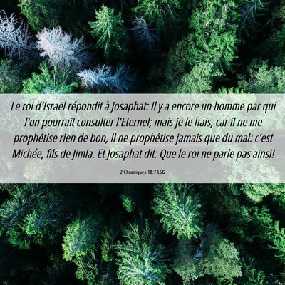 Picture 06 - 2 Chroniques 18:7 LSG - Le roi d'Israël répondit à Josaphat: Il y a - Bible Verse Picture