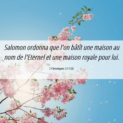 Picture 06 - 2 Chroniques 2:1 LSG - Salomon ordonna que l'on bâtît une maison au - Bible Verse Picture