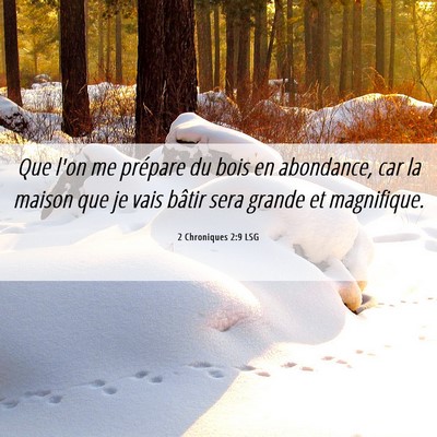 Picture 06 - 2 Chroniques 2:9 LSG - Que l'on me prépare du bois en abondance, car la - Bible Verse Picture