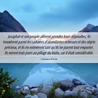 Picture 06 - 2 Chroniques 20:25 LSG - Josaphat et son peuple allèrent prendre leurs - Bible Verse Picture
