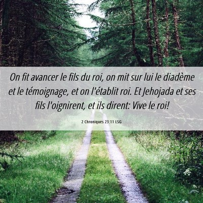 Picture 06 - 2 Chroniques 23:11 LSG - On fit avancer le fils du roi, on mit sur lui le - Bible Verse Picture