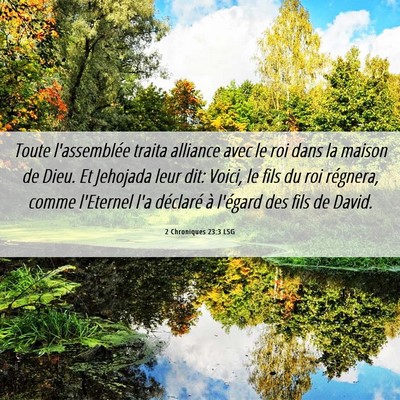 Picture 06 - 2 Chroniques 23:3 LSG - Toute l'assemblée traita alliance avec le roi - Bible Verse Picture