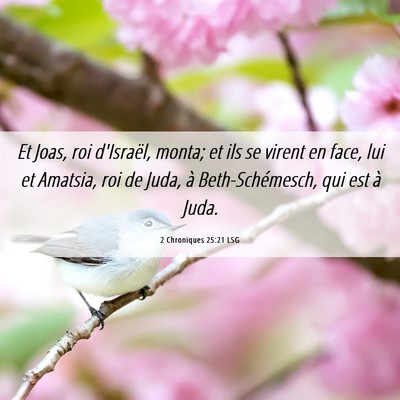 Picture 06 - 2 Chroniques 25:21 LSG - Et Joas, roi d'Israël, monta; et ils se virent - Bible Verse Picture