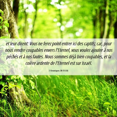 Picture 06 - 2 Chroniques 28:13 LSG - et leur dirent: Vous ne ferez point entrer ici - Bible Verse Picture