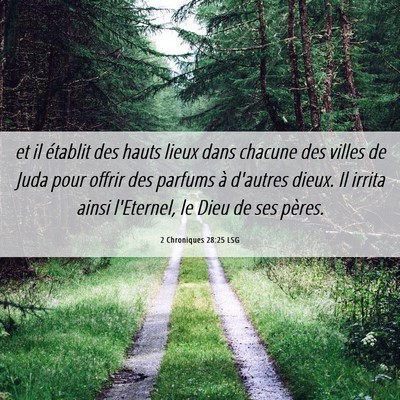 Picture 06 - 2 Chroniques 28:25 LSG - et il établit des hauts lieux dans chacune des - Bible Verse Picture