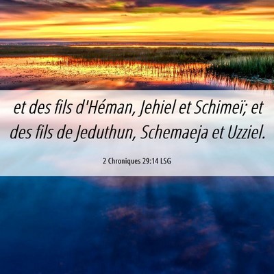 Picture 06 - 2 Chroniques 29:14 LSG - et des fils d'Héman, Jehiel et Schimeï; et des - Bible Verse Picture