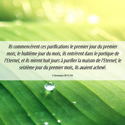 Picture 06 - 2 Chroniques 29:17 LSG - Ils commencèrent ces purifications le premier - Bible Verse Picture
