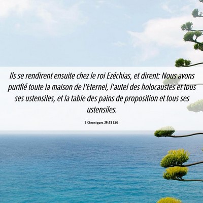 Picture 06 - 2 Chroniques 29:18 LSG - Ils se rendirent ensuite chez le roi Ezéchias, - Bible Verse Picture