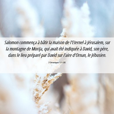 Picture 06 - 2 Chroniques 3:1 LSG - Salomon commença à bâtir la maison de - Bible Verse Picture