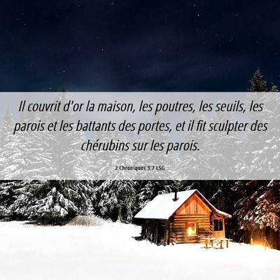 Picture 06 - 2 Chroniques 3:7 LSG - Il couvrit d'or la maison, les poutres, les - Bible Verse Picture