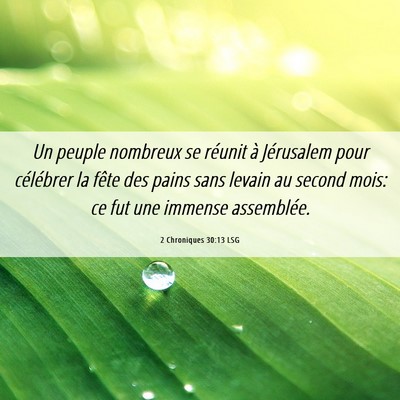 Picture 06 - 2 Chroniques 30:13 LSG - Un peuple nombreux se réunit à Jérusalem pour - Bible Verse Picture