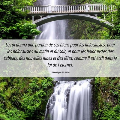 Picture 06 - 2 Chroniques 31:3 LSG - Le roi donna une portion de ses biens pour les - Bible Verse Picture