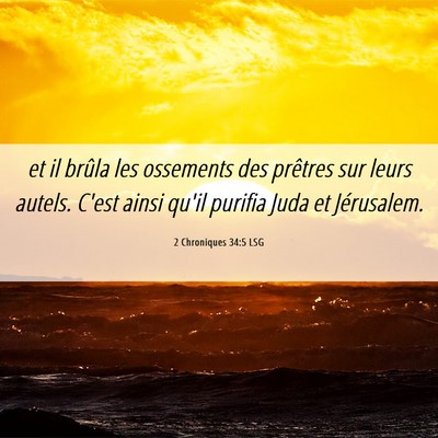 Picture 06 - 2 Chroniques 34:5 LSG - et il brûla les ossements des prêtres sur leurs - Bible Verse Picture