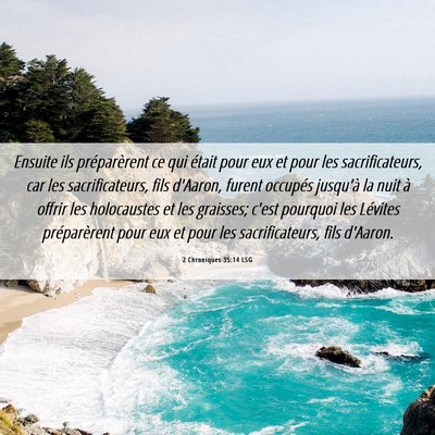 Picture 06 - 2 Chroniques 35:14 LSG - Ensuite ils préparèrent ce qui était pour eux - Bible Verse Picture