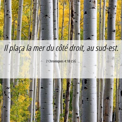 Picture 06 - 2 Chroniques 4:10 LSG - Il plaça la mer du côté droit, au - Bible Verse Picture