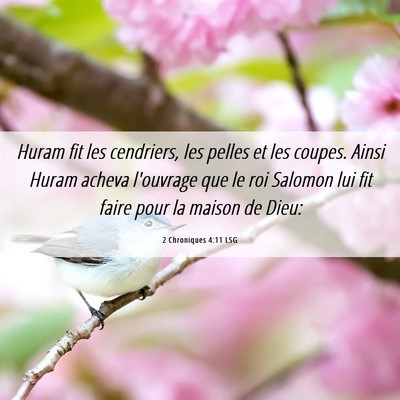 Picture 06 - 2 Chroniques 4:11 LSG - Huram fit les cendriers, les pelles et les - Bible Verse Picture