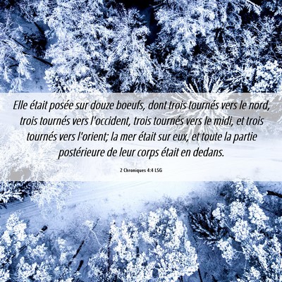 Picture 06 - 2 Chroniques 4:4 LSG - Elle était posée sur douze boeufs, dont trois - Bible Verse Picture