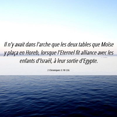 Picture 06 - 2 Chroniques 5:10 LSG - Il n'y avait dans l'arche que les deux tables que - Bible Verse Picture