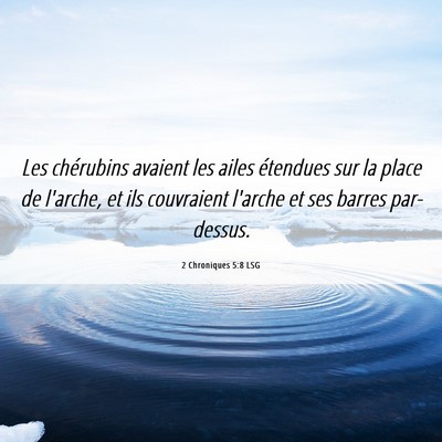 Picture 06 - 2 Chroniques 5:8 LSG - Les chérubins avaient les ailes étendues sur la - Bible Verse Picture