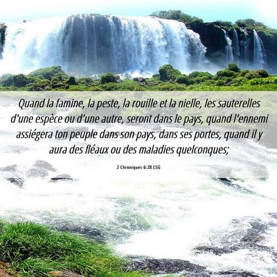 Picture 06 - 2 Chroniques 6:28 LSG - Quand la famine, la peste, la rouille et la - Bible Verse Picture