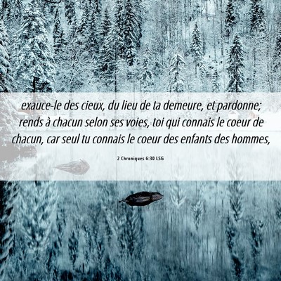 Picture 06 - 2 Chroniques 6:30 LSG - exauce-le des cieux, du lieu de ta demeure, et - Bible Verse Picture
