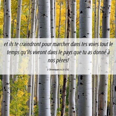 Picture 06 - 2 Chroniques 6:31 LSG - et ils te craindront pour marcher dans tes voies - Bible Verse Picture