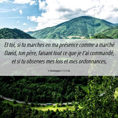 Picture 06 - 2 Chroniques 7:17 LSG - Et toi, si tu marches en ma présence comme a - Bible Verse Picture