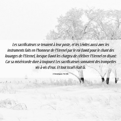 Picture 06 - 2 Chroniques 7:6 LSG - Les sacrificateurs se tenaient à leur poste, et - Bible Verse Picture
