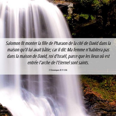 Picture 06 - 2 Chroniques 8:11 LSG - Salomon fit monter la fille de Pharaon de la - Bible Verse Picture