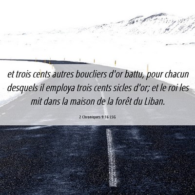 Picture 06 - 2 Chroniques 9:16 LSG - et trois cents autres boucliers d'or battu, pour - Bible Verse Picture